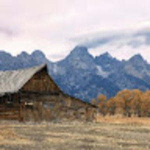 Meet your Posher, Daniela